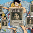 one piece south africa