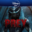 predator prequel