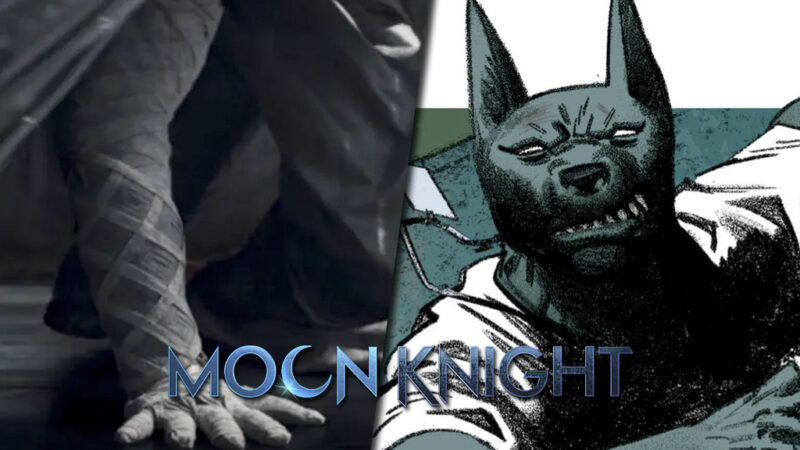 moon knight jackal