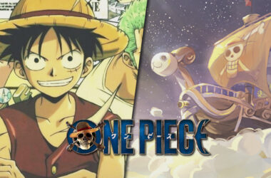 one piece going merry set